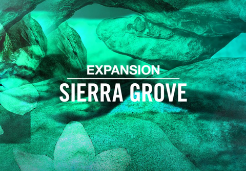 Native Instruments Sierra Grove